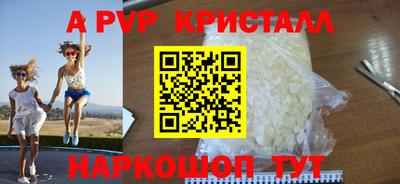 молекула духа Кингисепп