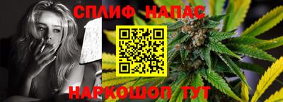 молекула духа Кингисепп