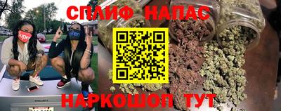 молекула духа Кингисепп