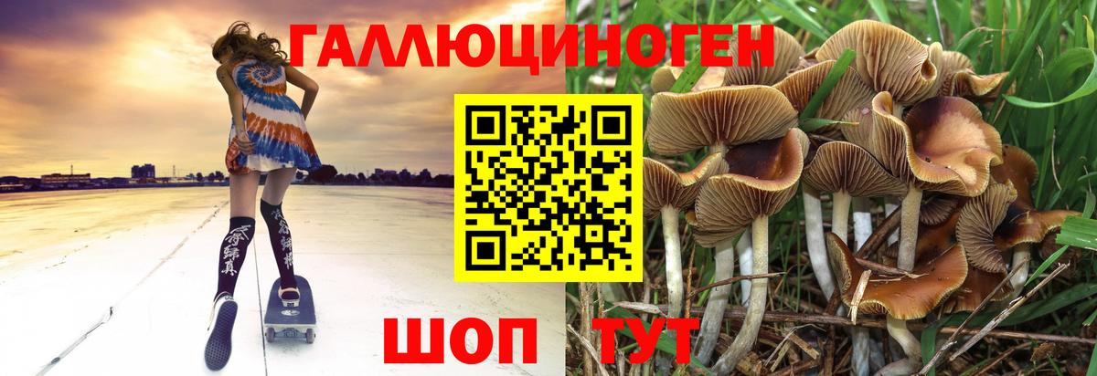 Псилоцибиновые грибы ЛСД Лабинск